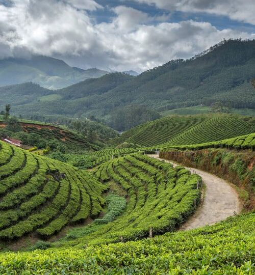 Kerala
