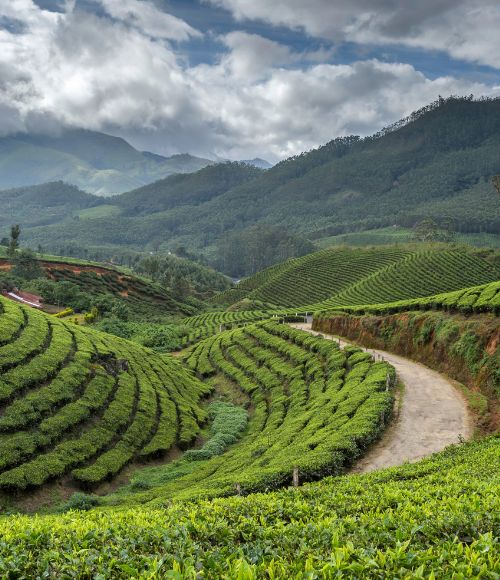 Kerala