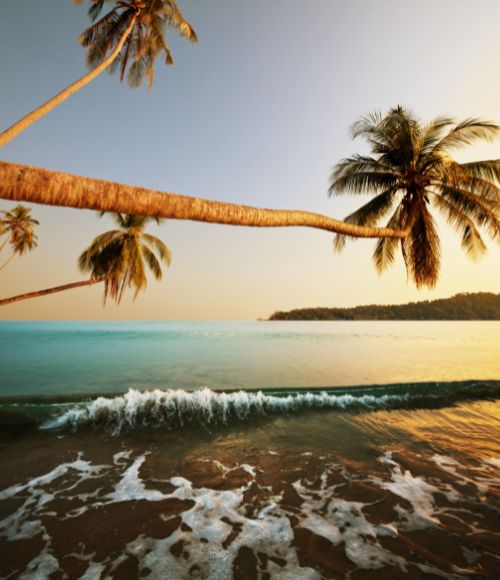 Andaman Nicobar