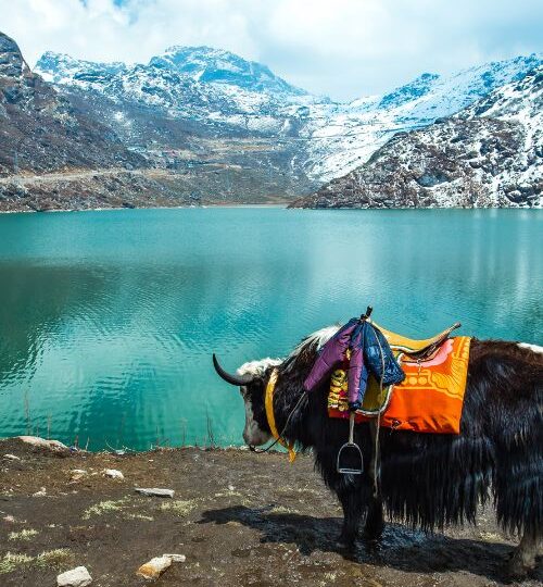 Sikkim