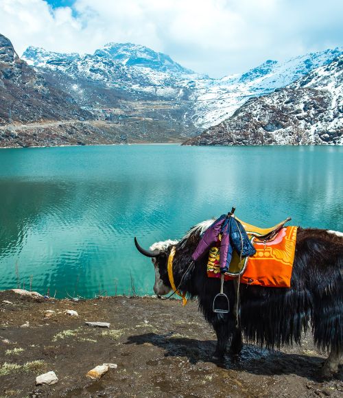 Sikkim