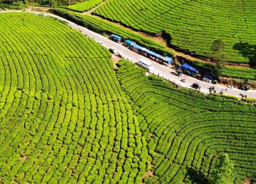 Top 5 Nights 6 Days Kerala Family Tour Packages For A Refreshing Getaway