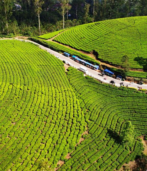 Top 5 Nights 6 Days Kerala Family Tour Packages For A Refreshing Getaway
