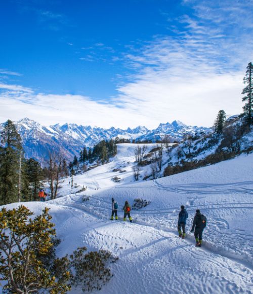 3 Nights 4 Days Paradisiacal Himachal Family Package For A Peaceful Trip