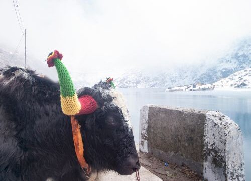 4 Nights 5 Days Sikkim Family Tour Package