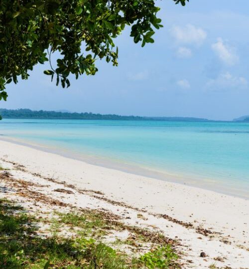 Andaman Nicobar