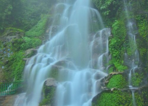Gangtok Family Package For 3 Days & 2 Nights