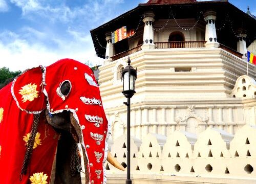 Splendid Sri Lanka Tour Package 4 Days & 3 Nights